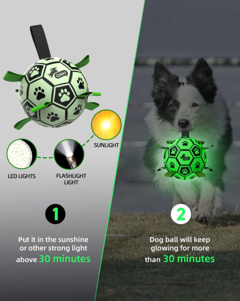 Pelota para perros QDAN 15 cm que brilla en la oscuridad – juguete para exteriores