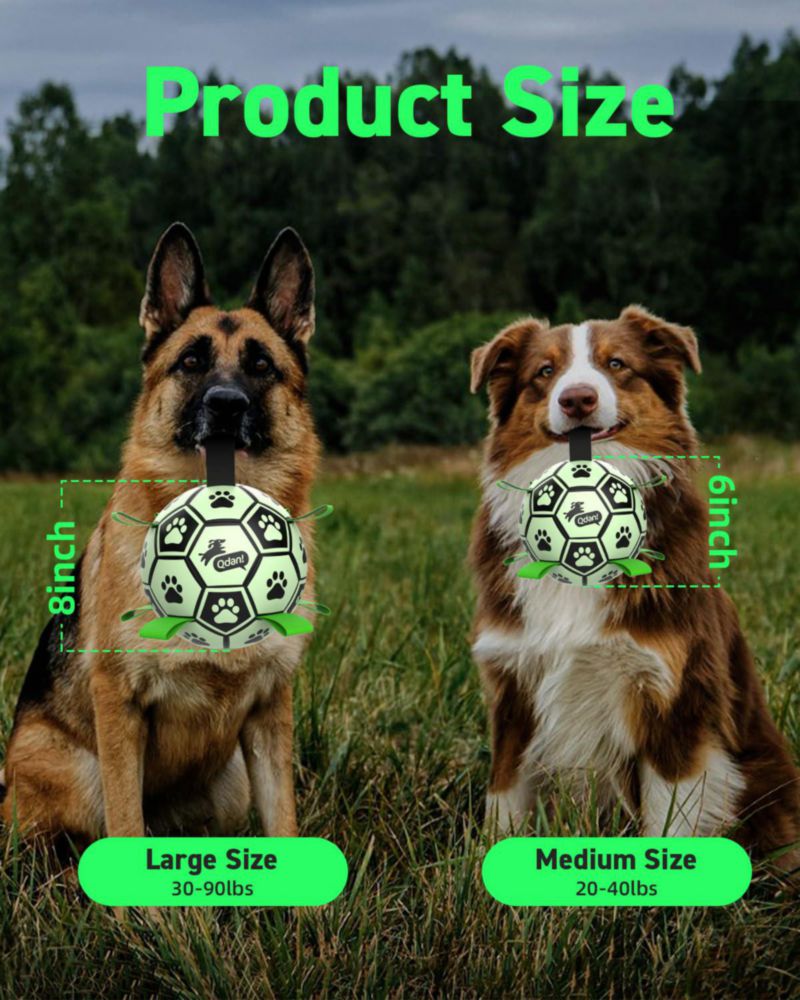 Pelota para perros QDAN 15 cm que brilla en la oscuridad – juguete para exteriores