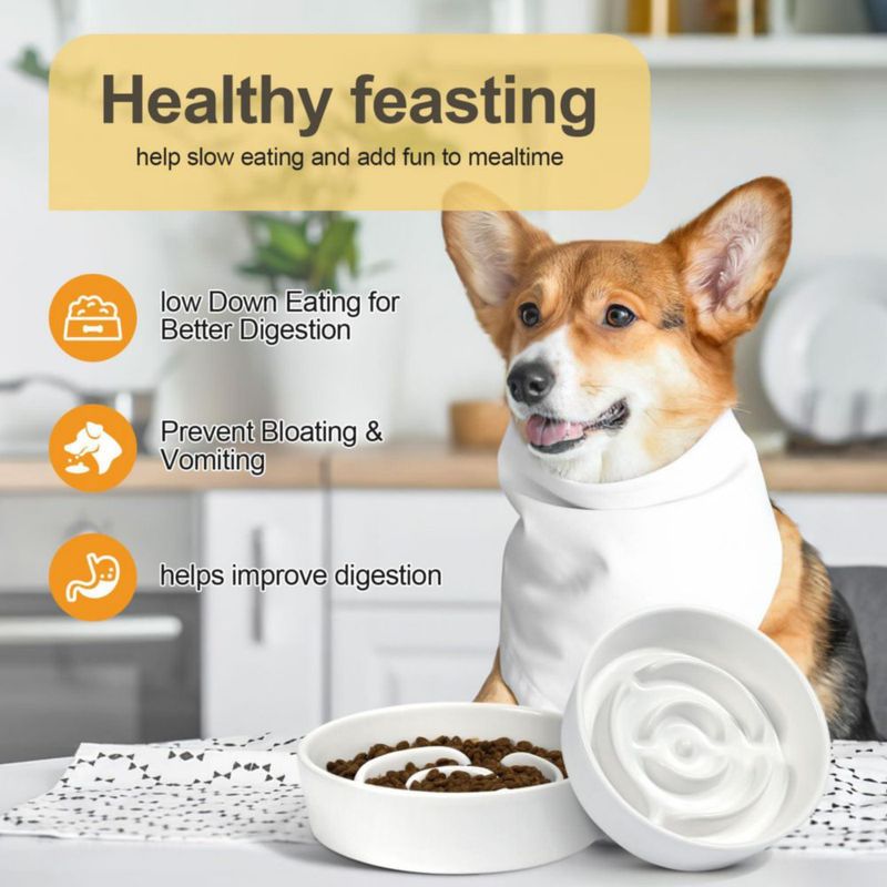 Juego de cuencos para perros YUNLINLI 16 cm Alimentación lenta cerámica blanco