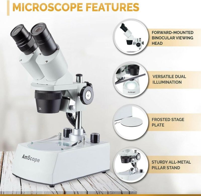 Microscopio AmScope SE306R-PY-LED WF10x