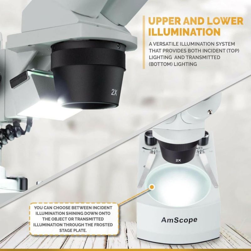 Microscopio AmScope SE306R-PY-LED WF10x