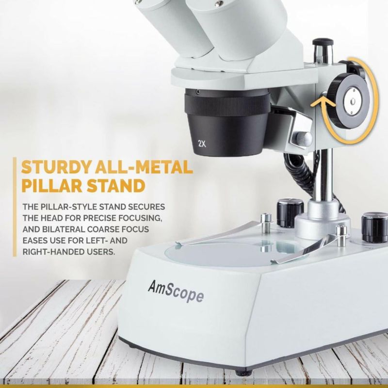 Microscopio AmScope SE306R-PY-LED WF10x