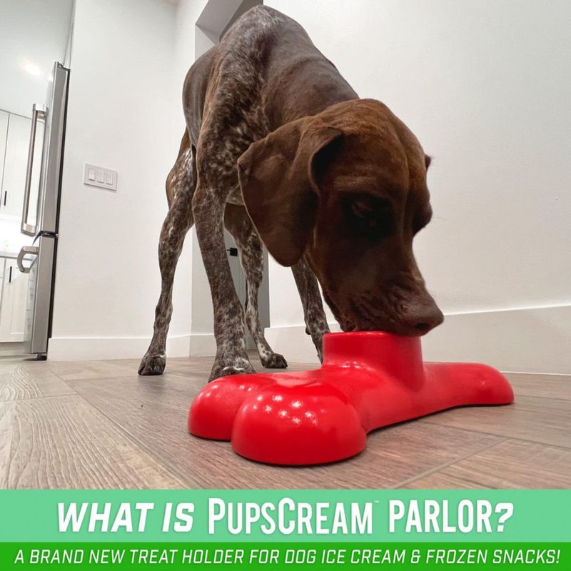 Set de 6 tazas GoSports PupsCream Parlor para helado de perros