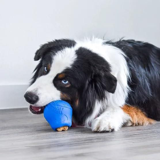 Paquete surtido de 3 juguetes Nylabone NUBZ para perros