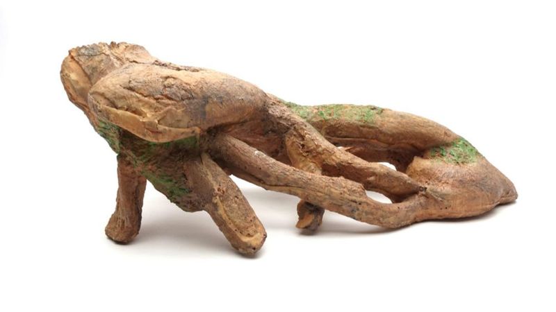 Hábitat para reptiles CAROLINACUSTOMCAGES Raíz grande 48x20x17 cm 18 kg