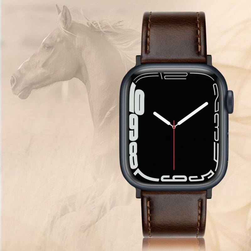 Correa de Reloj EDIMENS 46mm Cuero Estilo Vintage