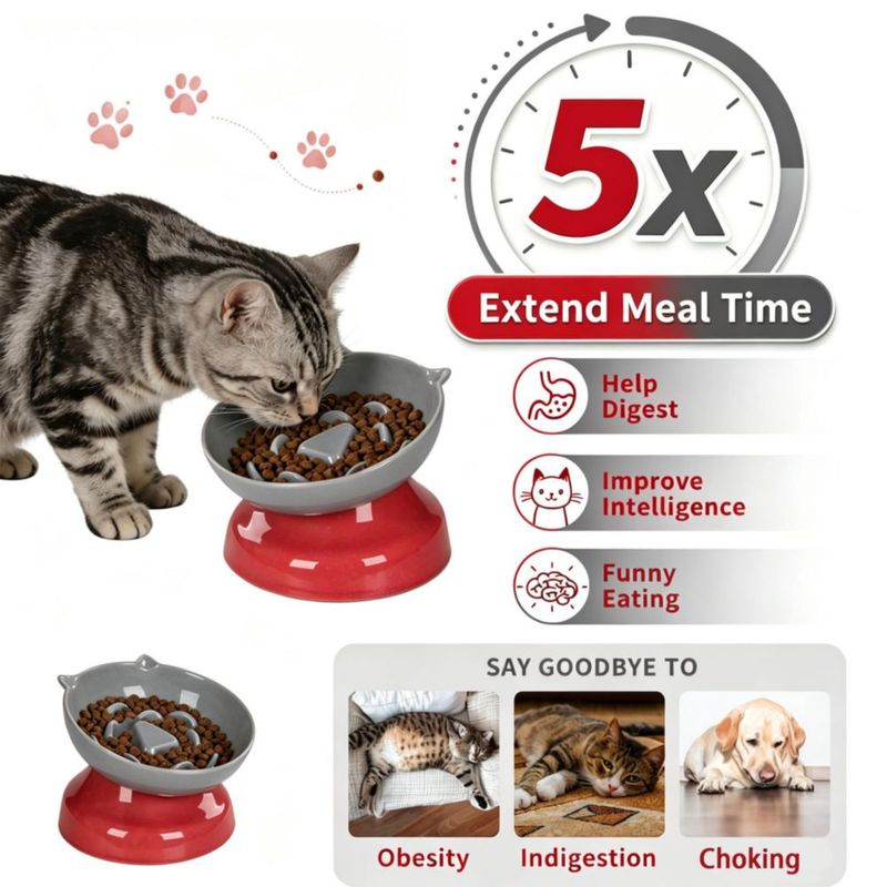 Tazón para gato KittyDine con inclinación de 15° alimentador lento de cerámica