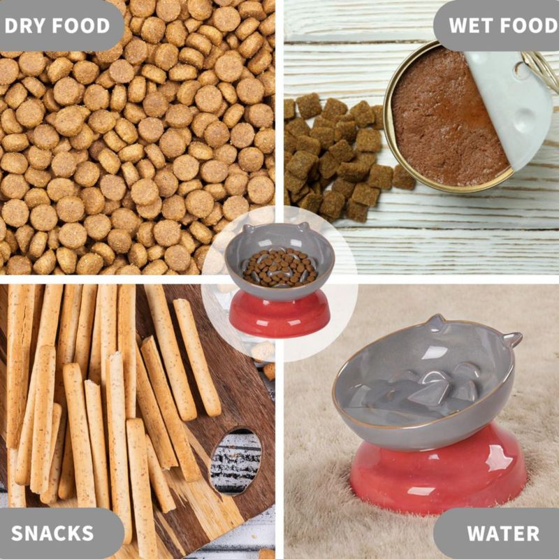 Tazón para gato KittyDine con inclinación de 15° alimentador lento de cerámica