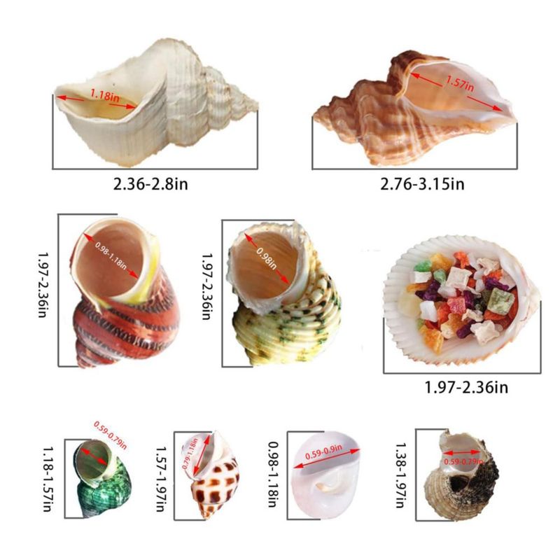 Conchas para Cangrejo Ermitaño SINKOO 17 piezas 2.5-8 cm 9 tipos