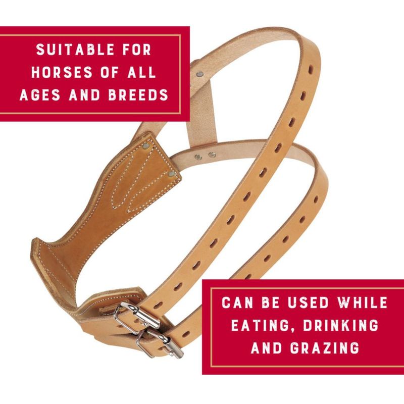 Collar para Caballo Weaver Equine Mediano Dorado Marrón