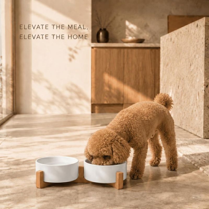 Cuenco para Perro SPUNKYJUNKY 400 ml Set de Cerámica con Soporte de Madera