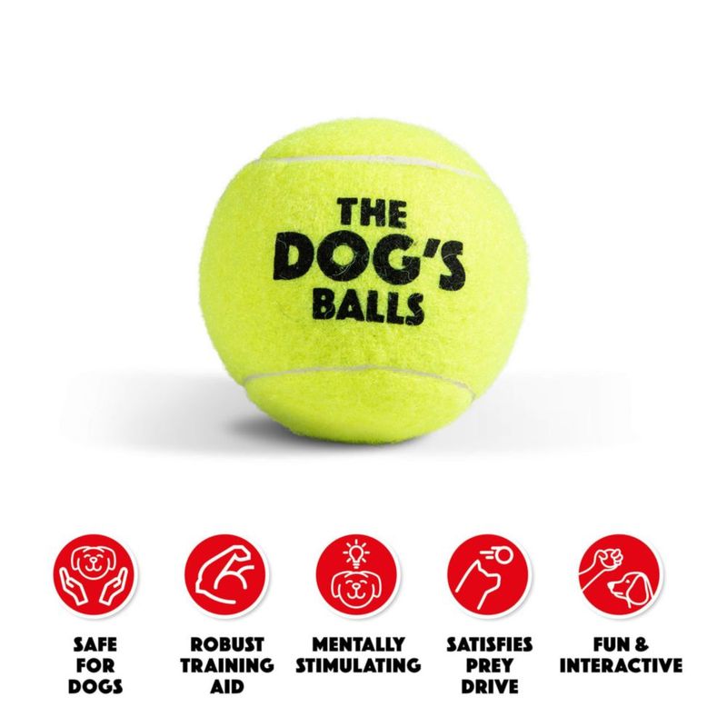 Pelotas de tenis The Dog's Balls 6 cm amarillas - paquete de 12