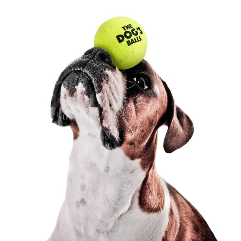 Pelotas de tenis The Dog's Balls 6 cm amarillas - paquete de 12