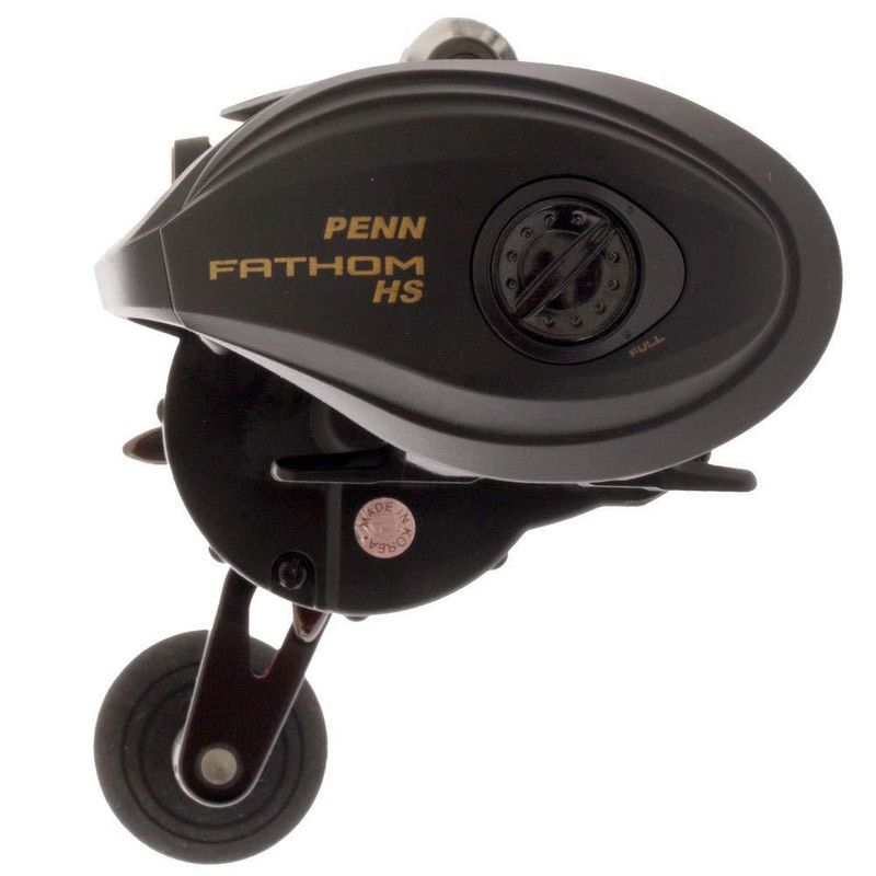Carrete de pesca PENN Fathom Negro y Dorado 397 g