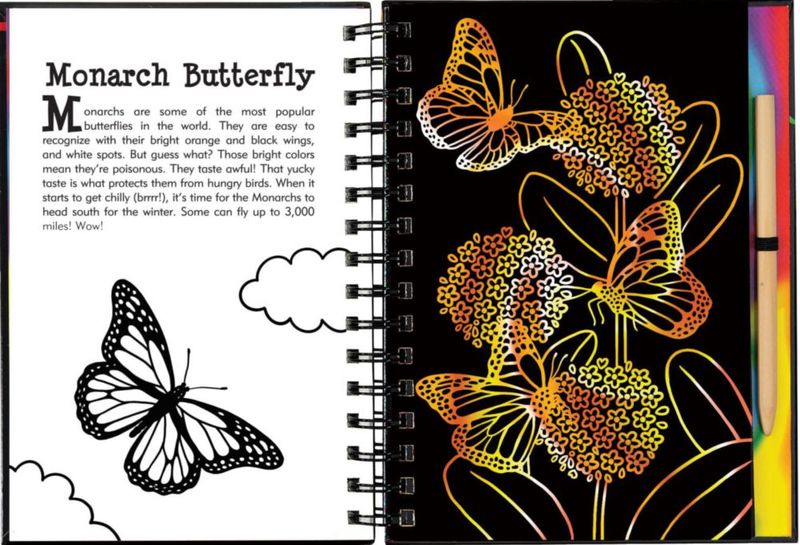 Libro PETER PAUPER PRESS Rasca y Dibuja Mariposas