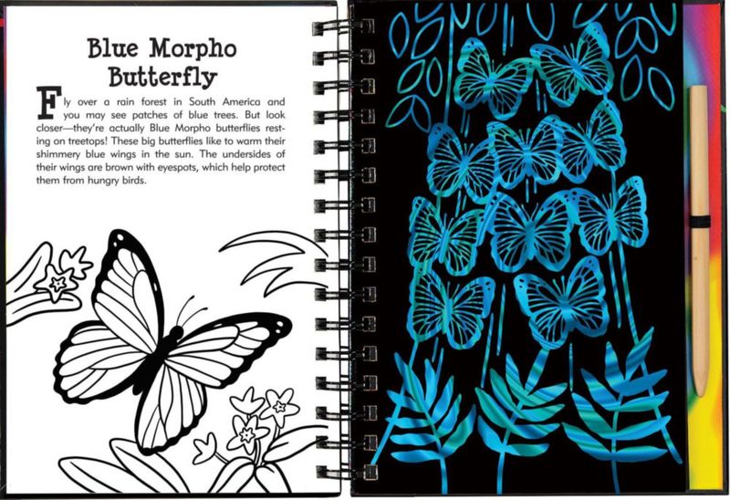 Libro PETER PAUPER PRESS Rasca y Dibuja Mariposas