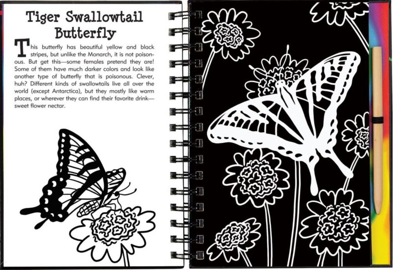 Libro PETER PAUPER PRESS Rasca y Dibuja Mariposas