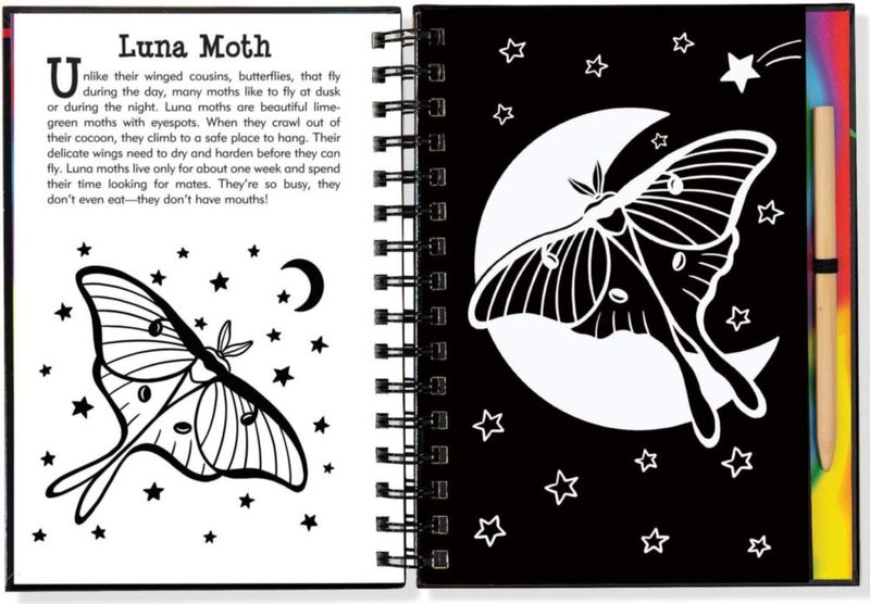 Libro PETER PAUPER PRESS Rasca y Dibuja Mariposas