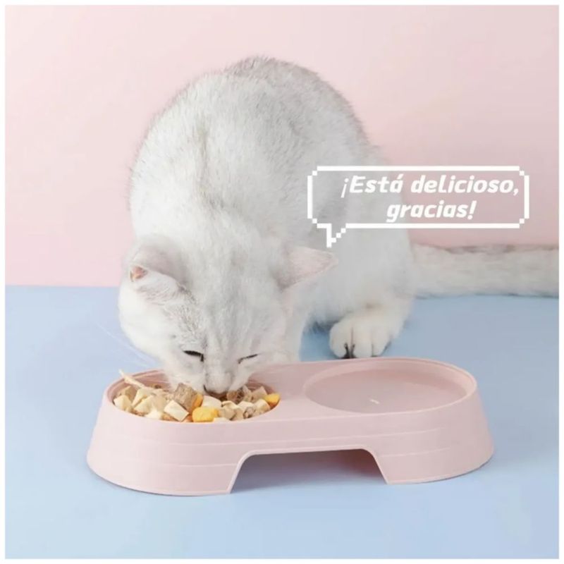 Juego De 4 Platos Dobles Para Mascotas, Multicolor