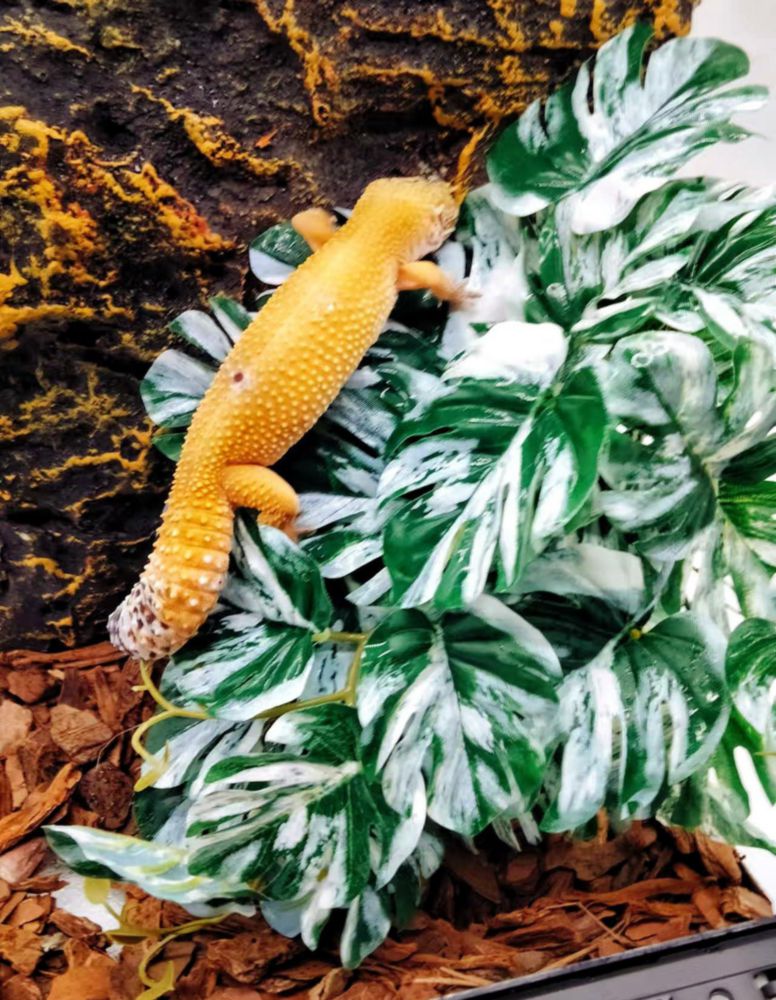 Planta artificial FLmoving para decoración de terrario de reptiles