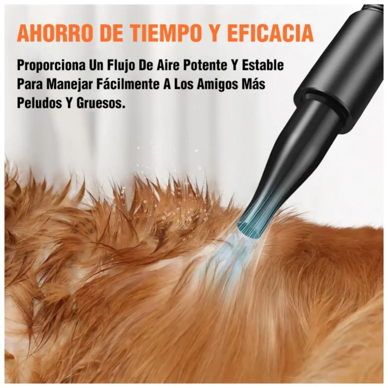 Secadora Para Perros Mascotas 2800W, Profesional Con 4 Boquillas, Color Negro