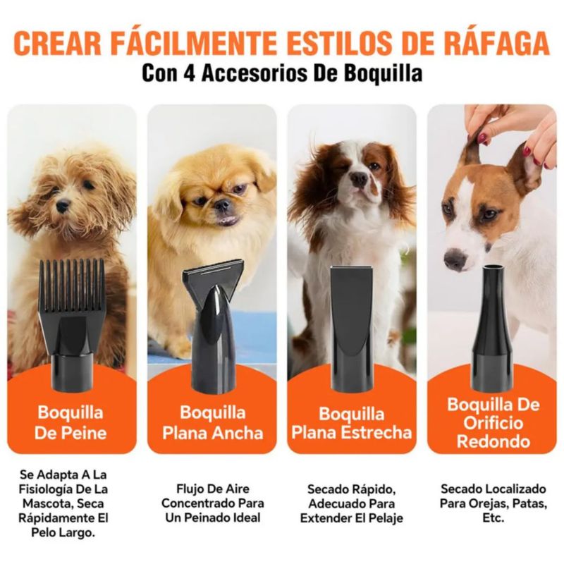 Secadora Para Perros Mascotas 2800W, Profesional Con 4 Boquillas, Color Negro