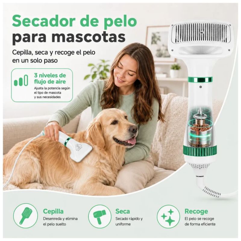 Secadora De Pelo Mascotas Perros Y Gatos Con Peine 3 Ajustes, Color Blanco/Verde