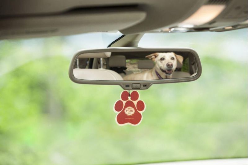 Ambientador One Fur All - Pack de 4 unidades apto para mascotas