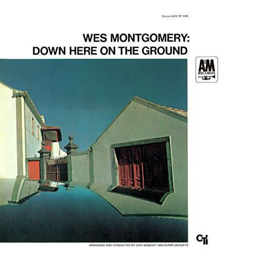 Música UNIVERSAL – Down Here On The Ground