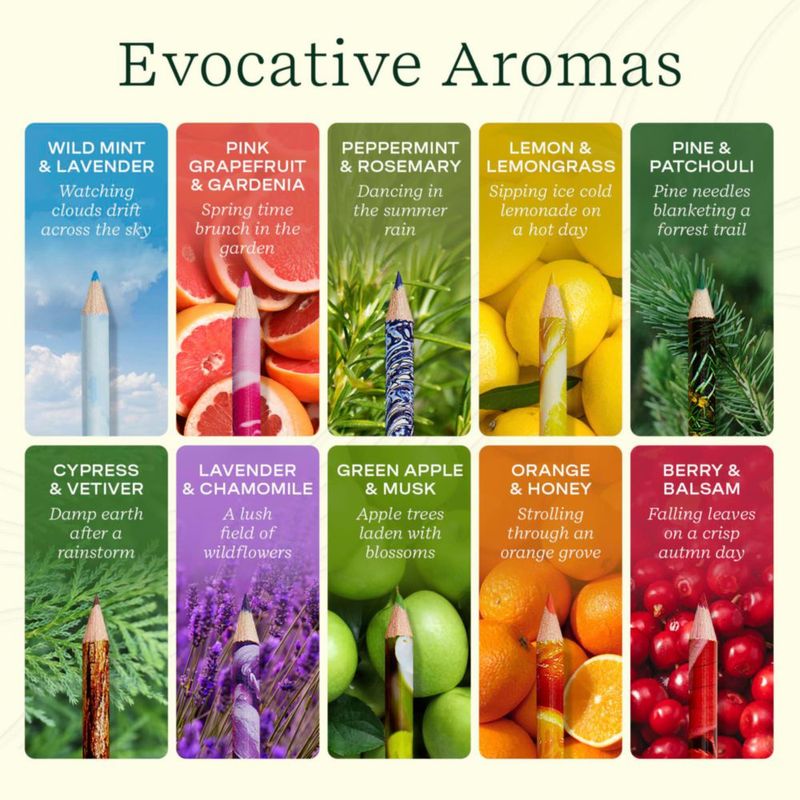 Lápices de colores Lifelines Pack de 10 Aromáticos Clásico