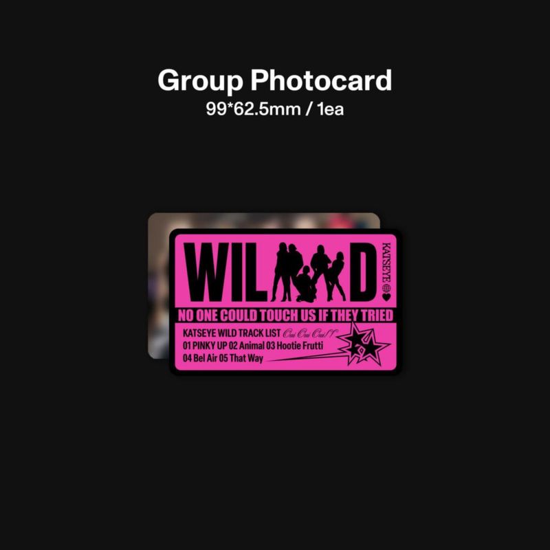 Polydor Analógico WILD (Vinilo importado)