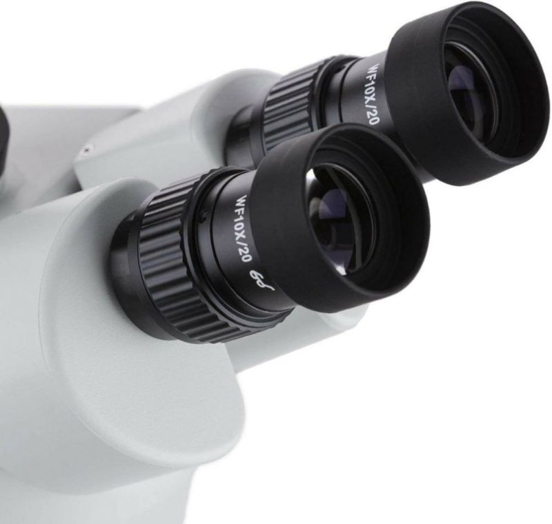 Microscopio AmScope SM-2TX Trinocular con Zoom WH10x