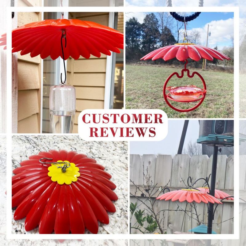 Protector contra la lluvia para comedero de pájaros andergi 34 cm 2 unidades (rojo)