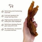 Masticables de Tendón de Res Pupford para Perros (5 unidades)