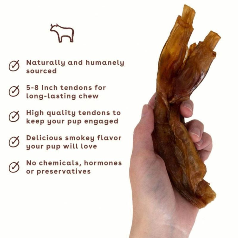 Masticables de Tendón de Res Pupford para Perros (5 unidades)