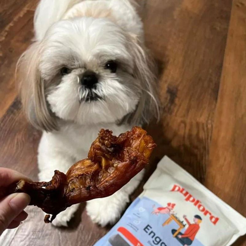 Masticables de Tendón de Res Pupford para Perros (5 unidades)