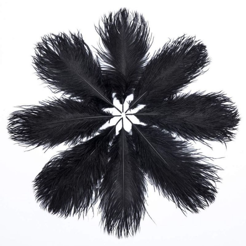 Plumas de avestruz HOLLOSPORT 30 piezas 25‑30 cm negras
