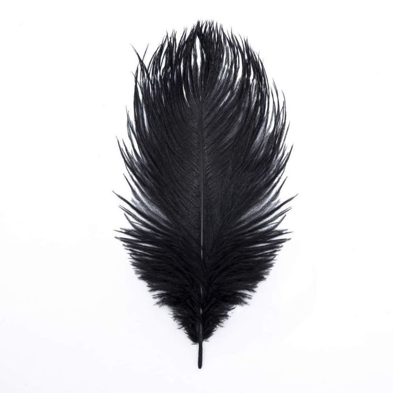 Plumas de avestruz HOLLOSPORT 30 piezas 25‑30 cm negras