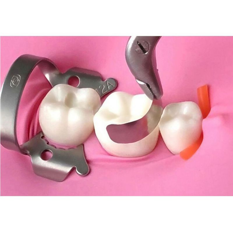 Pinzas de matriz dental Windplusya - Acero plateado