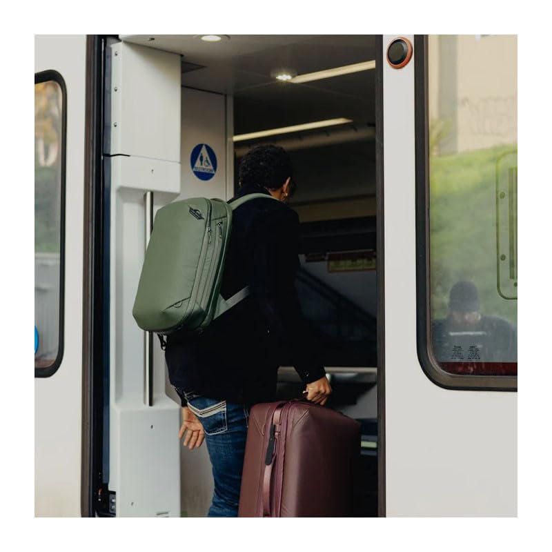 Mochila Peak Design 20L Sage