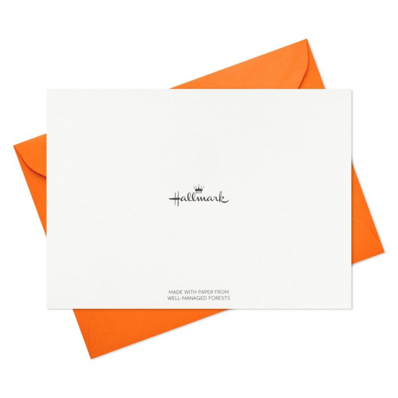 Paquete de 48 tarjetas Hallmark surtidas con garabatos modernos