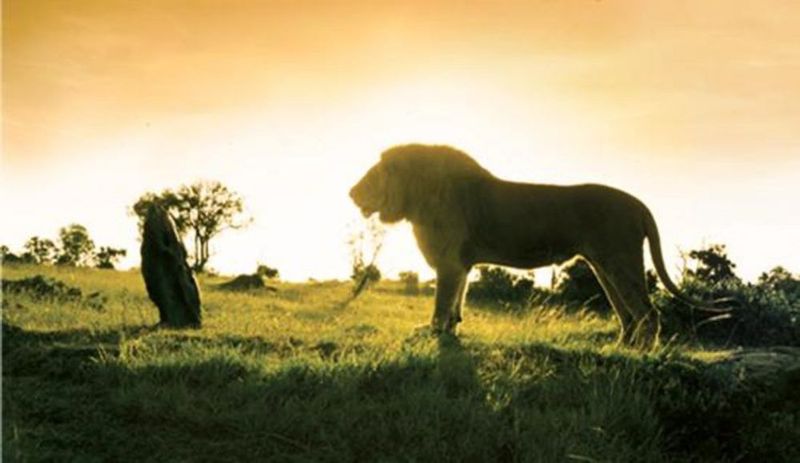 Película UNIVERSAL Out of Africa 4K Ultra HD + Blu-ray