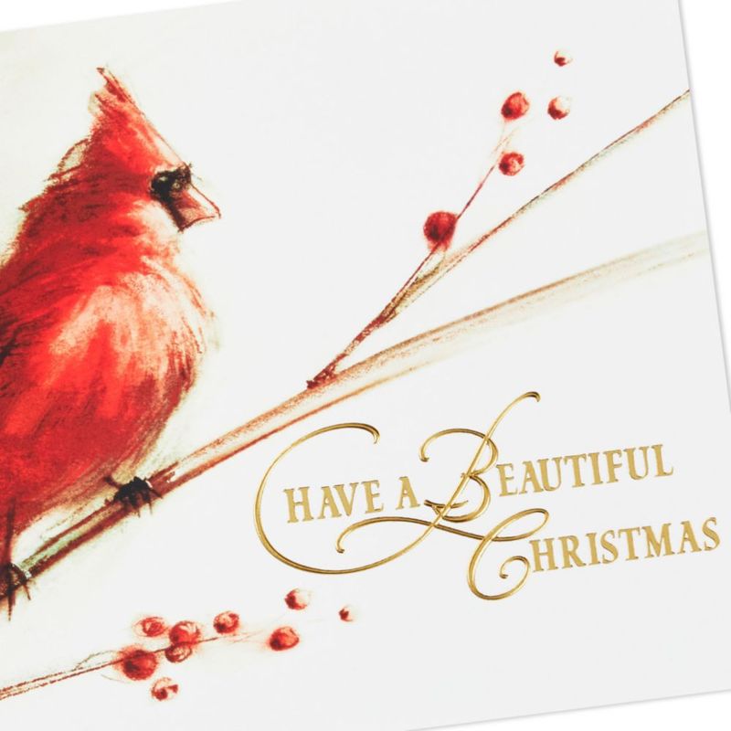 Tarjetas de Navidad Hallmark Pack de 40 – Temporada de Belleza