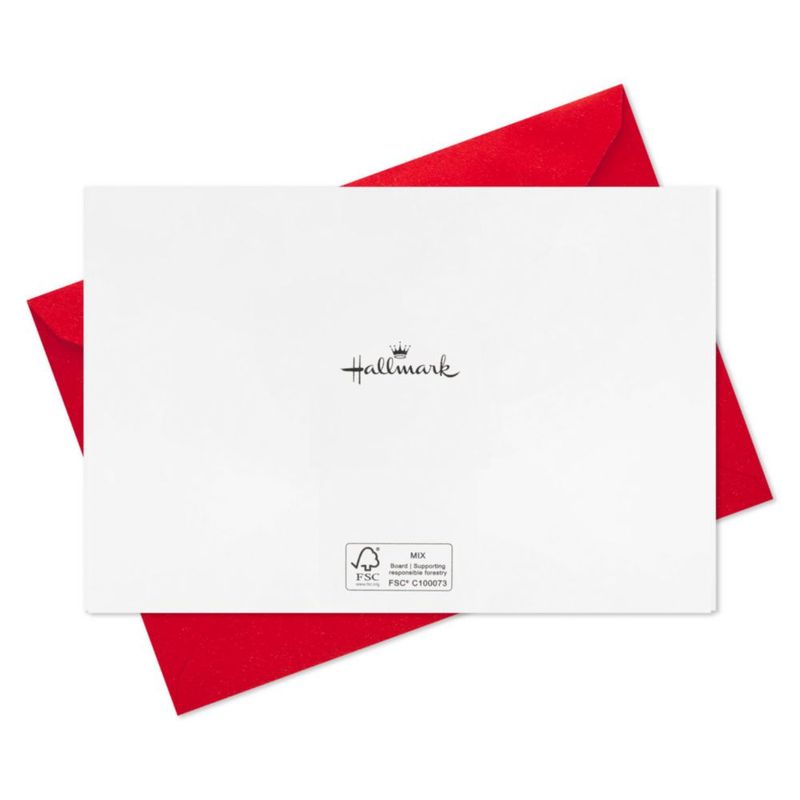 Tarjetas de Navidad Hallmark Pack de 40 – Temporada de Belleza