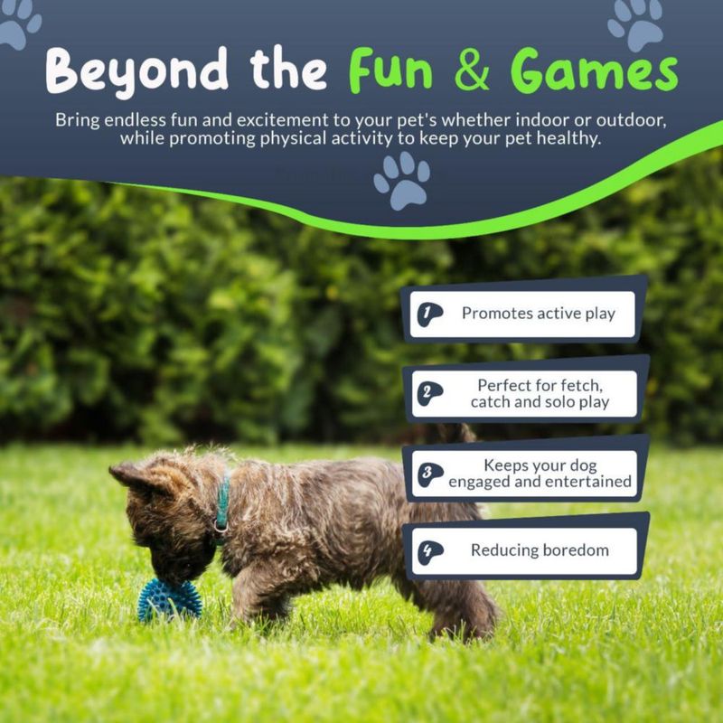 Pelotas Petite Paws 45 cm con chirrido – Pack de 4 para perros pequeños