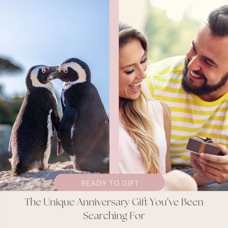 Tarjeta de Felicitación PureRejuva Regalo de Aniversario con Pingüino