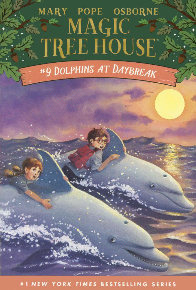 Libro Turtleback: Delfines al Amanecer