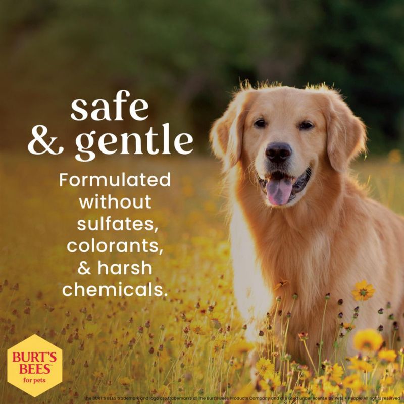 Champú para mascotas BURT'S BEES FOR PETS 296 ml Pack de 2