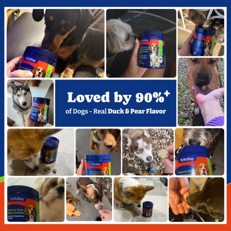 Masticables para perros YoYoBay contra pulgas y garrapatas con sabor a pato y pera - 70 unidades