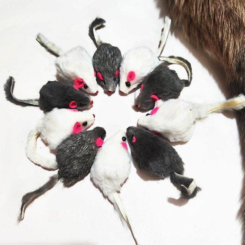 Juguetes para gato Pawstrip Ratón de peluche con sonajero y chirrido - 12 piezas